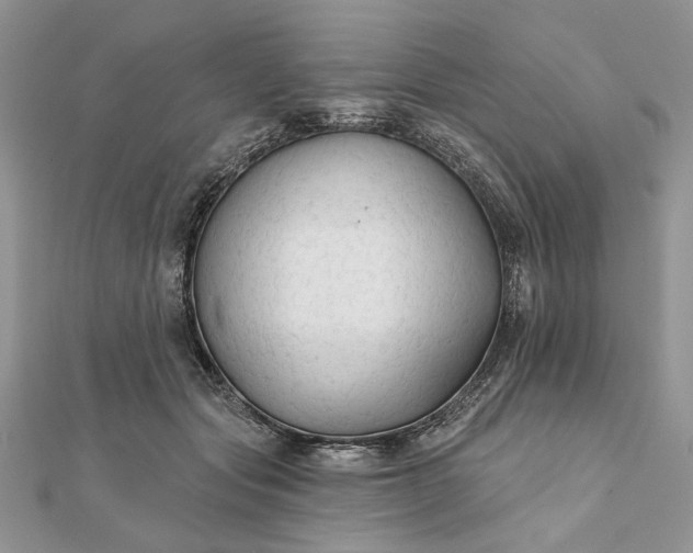 X0000111670557200907311200