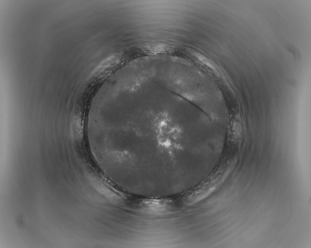 X0000111670558200907311200