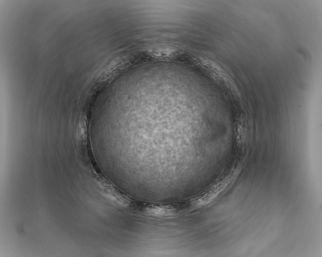 X0000111670561200907311200