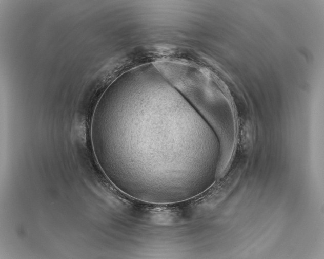 X0000111670562200907311200