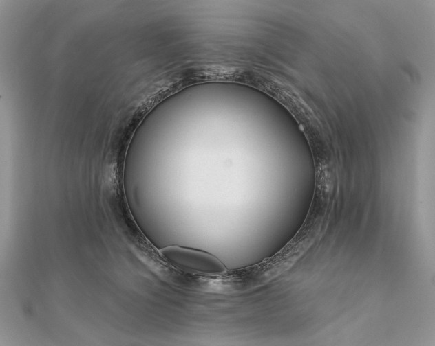 X0000111670564200907311201