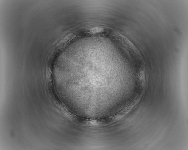 X0000111670565200907311201