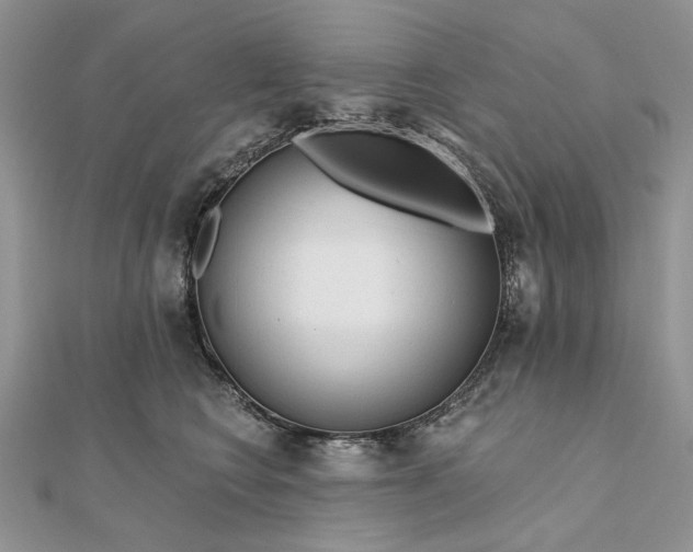 X0000111670566200907311201