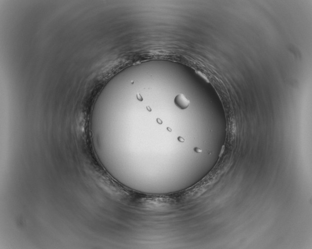 X0000111670567200907311201