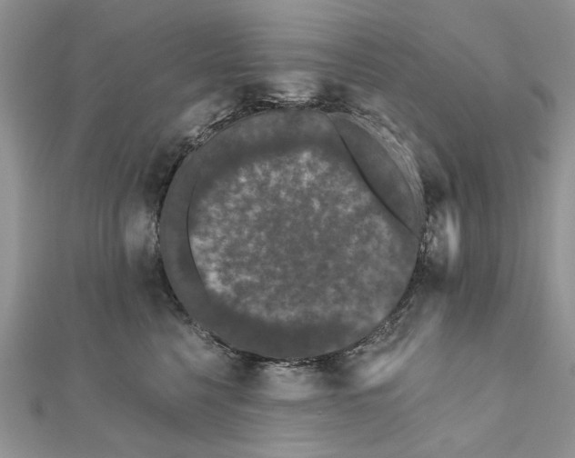 X0000111670568200907311201