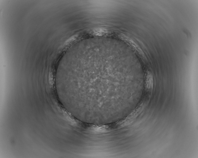 X0000111670569200907311201