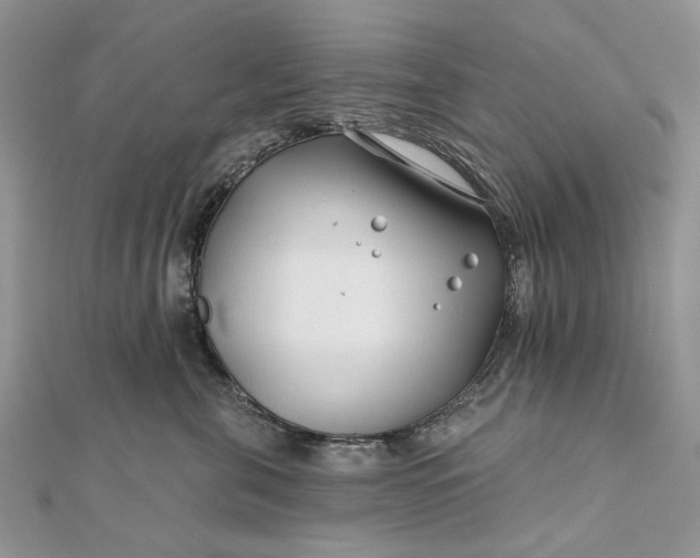 X0000111670571200907311201