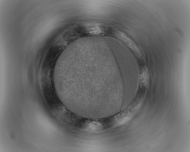 X0000111670572200907311201