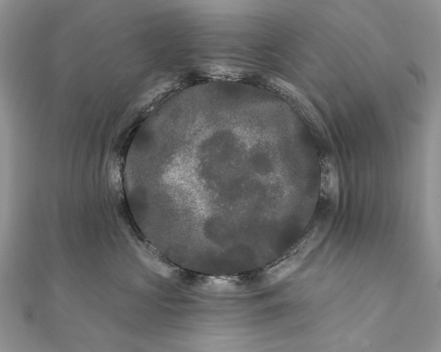 X0000111670573200907311201