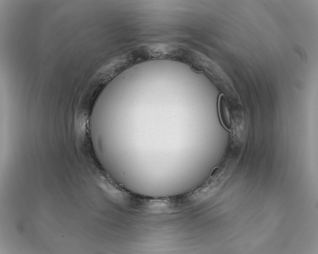 X0000111670574200907311201