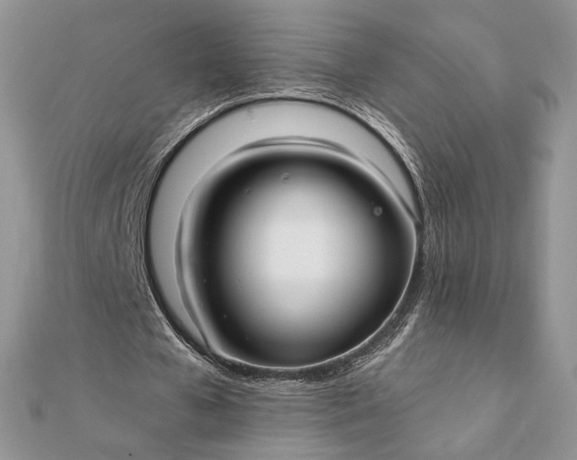 X0000111670577200907311200