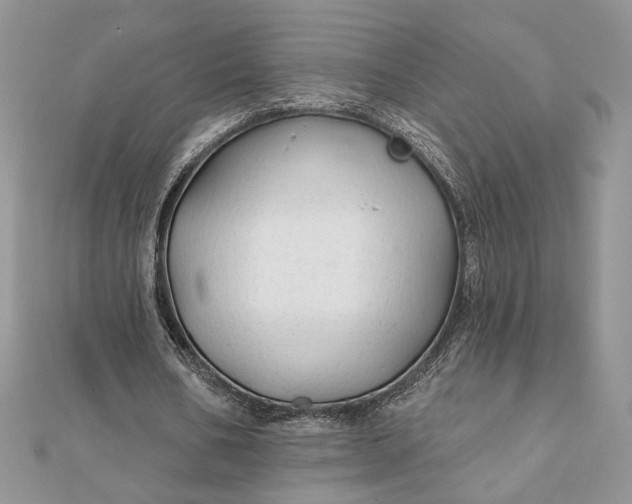 X0000111670578200907311200