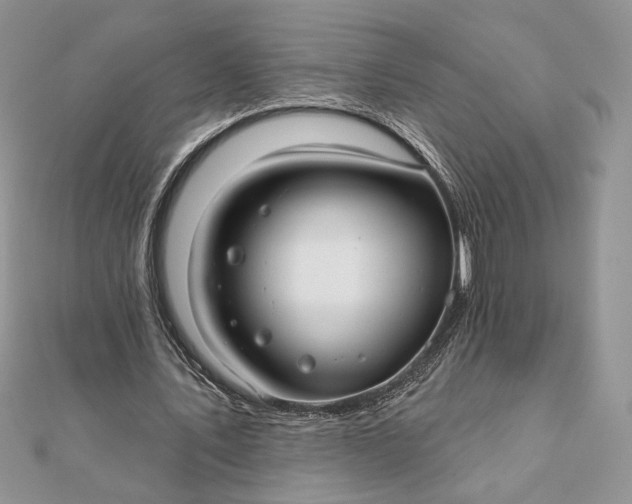 X0000111670579200907311200