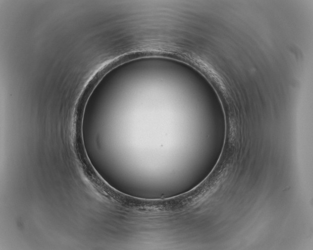 X0000111670580200907311200