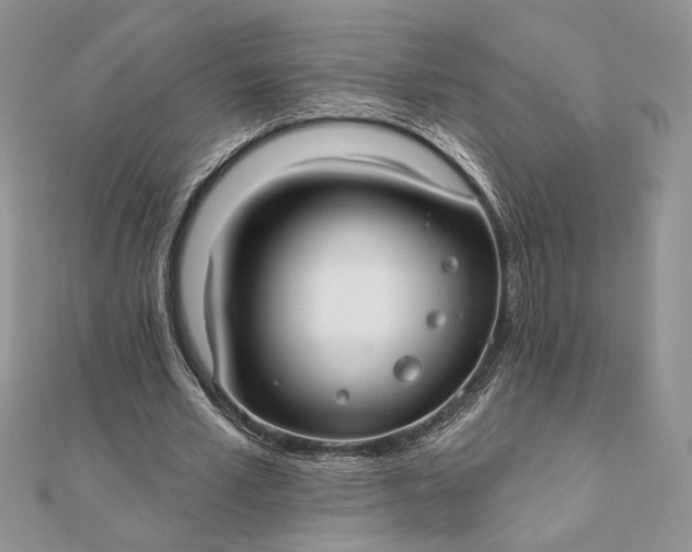 X0000111670581200907311200