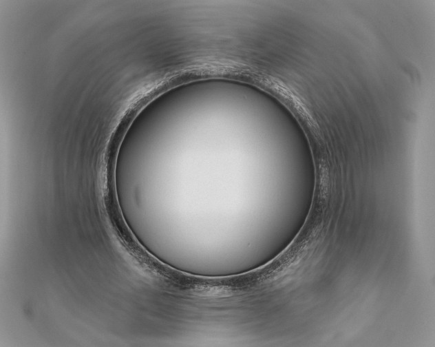 X0000111670582200907311200