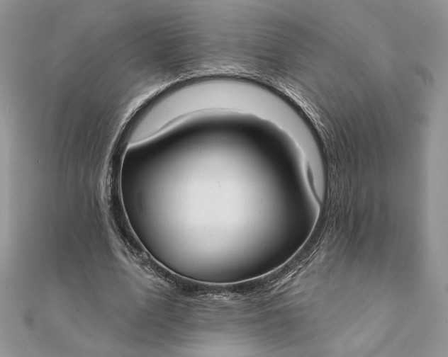 X0000111670583200907311200