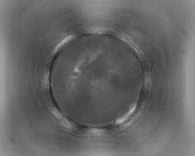 X0000111670585200907311200