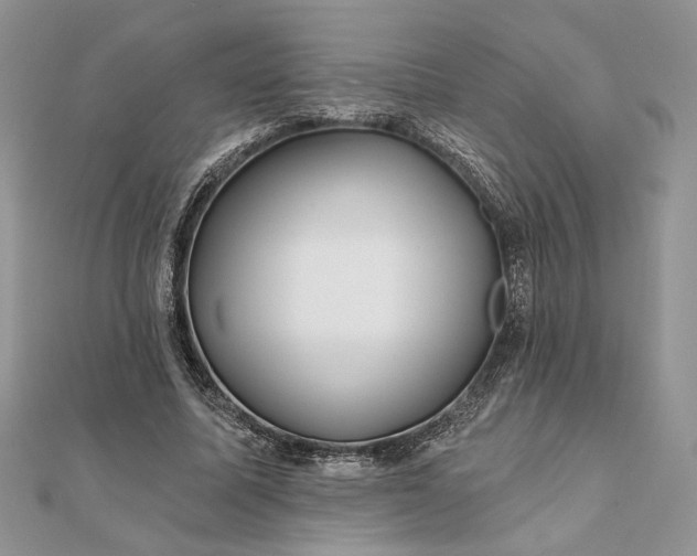 X0000111670587200907311200