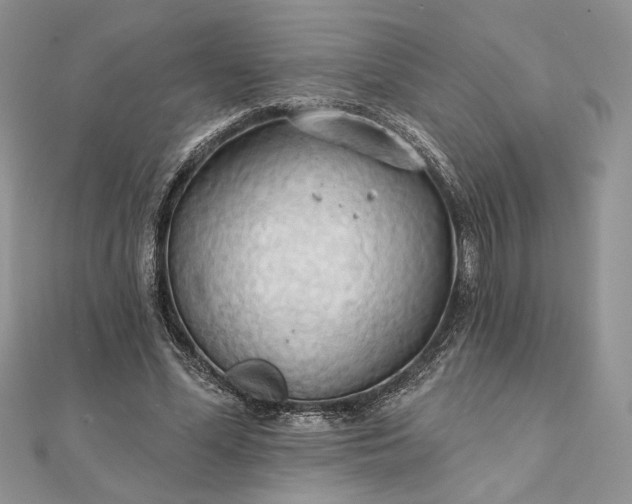 X0000111670588200907311200