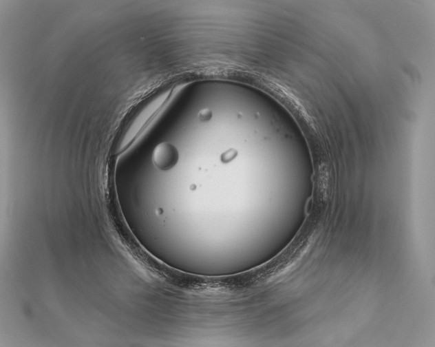 X0000111670589200907311200