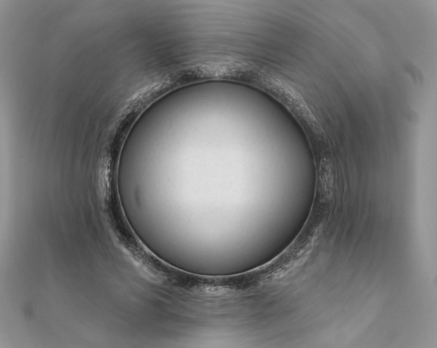 X0000111670590200907311200