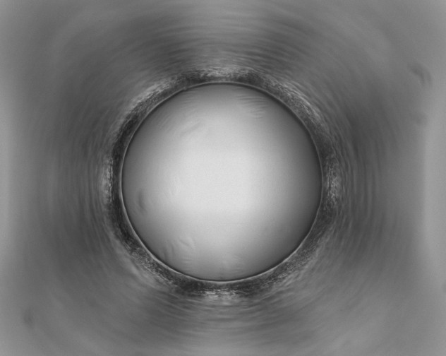 X0000111670591200907311200