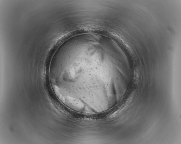 X0000111670592200907311200