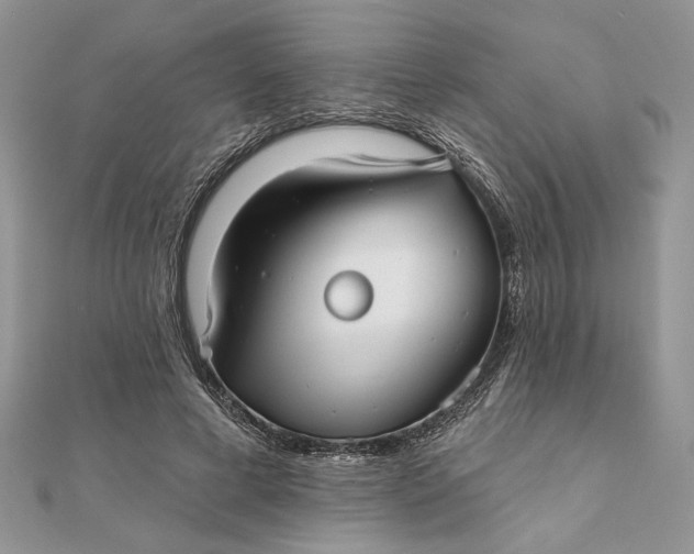 X0000111670593200907311200