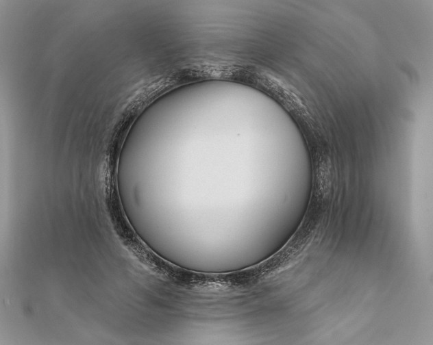 X0000111670594200907311200