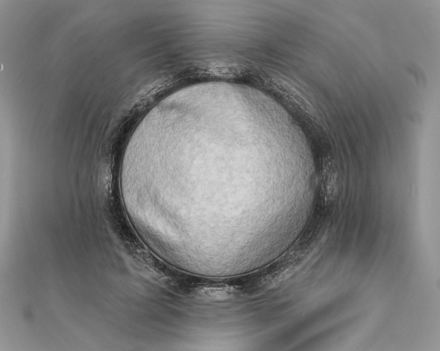 X0000111670595200907311200