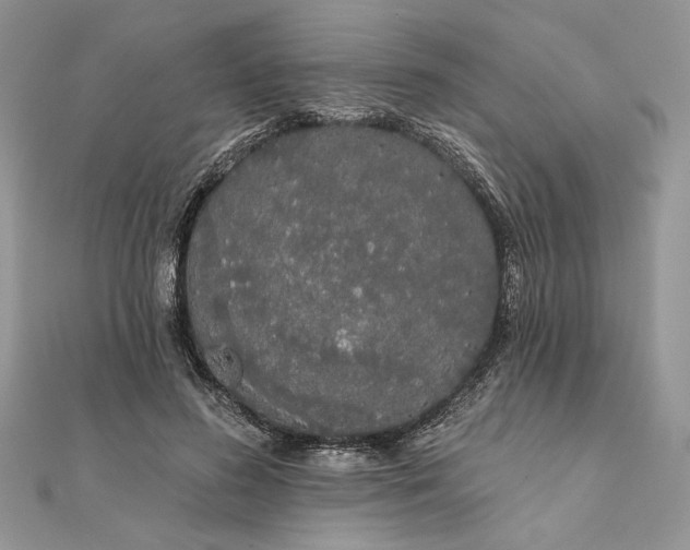 X0000111670596200907311200