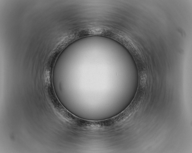 X0000111670598200907311200