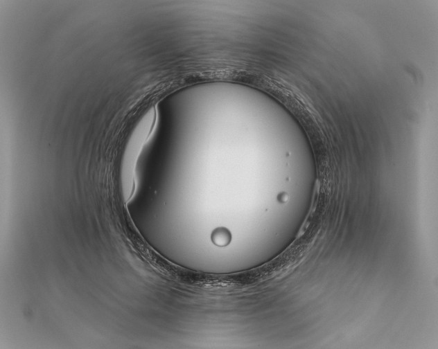 X0000111670599200907311200