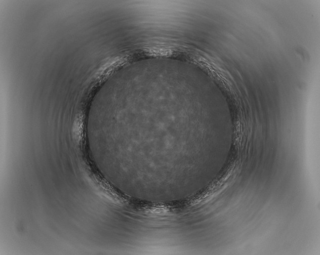 X0000111670600200907311200