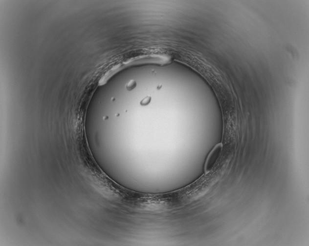 X0000111670601200907311200