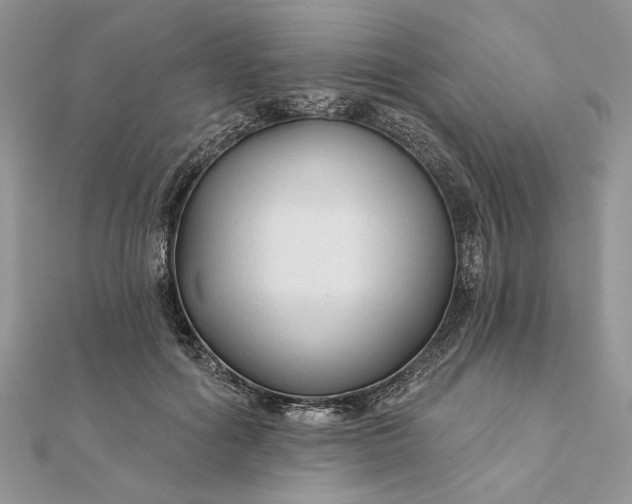 X0000111670602200907311200