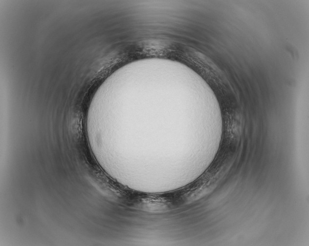 X0000111670603200907311200