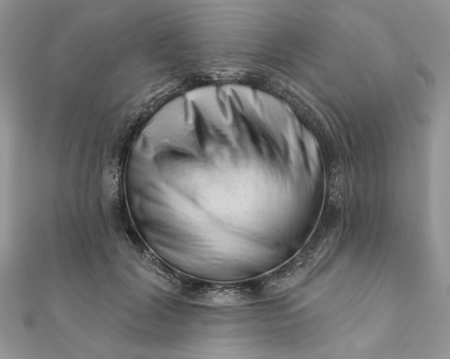 X0000111670604200907311200