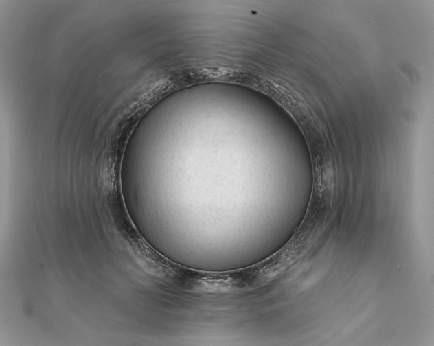 X0000111670606200907311200