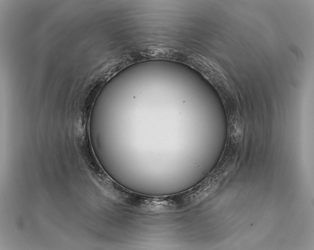 X0000111670607200907311200