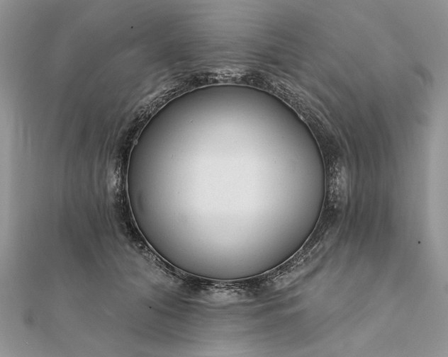 X0000111670608200907311200