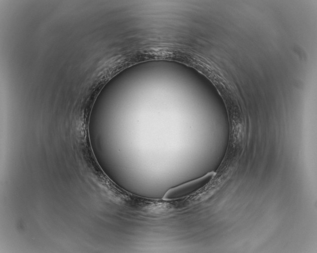 X0000111670609200907311200