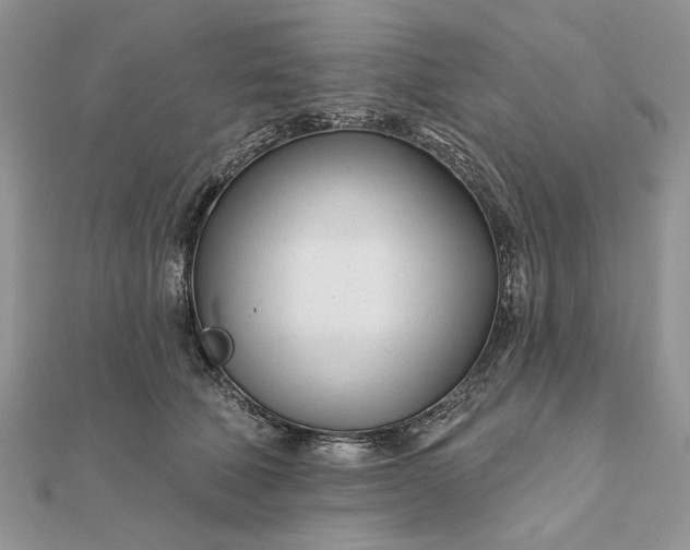 X0000111670610200907311200