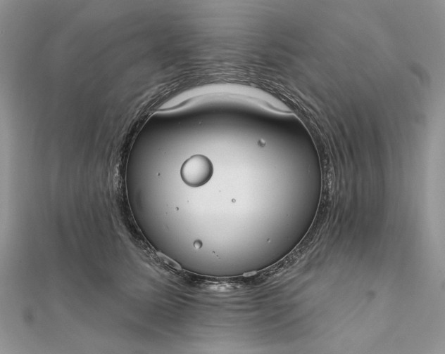 X0000111670611200907311200