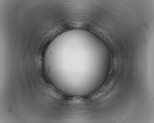 X0000111670612200907311200