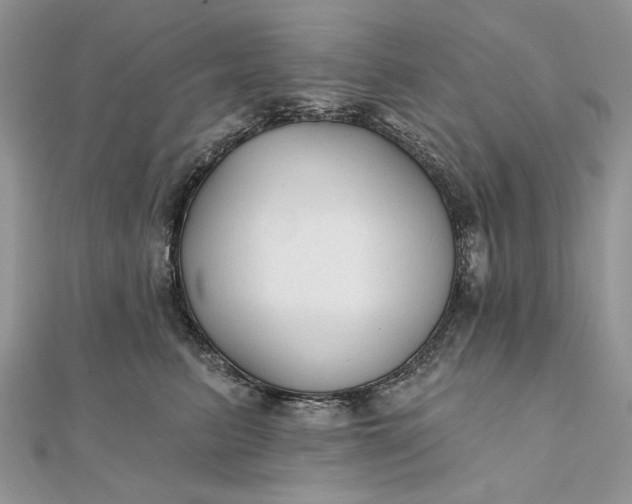 X0000111670615200907311200