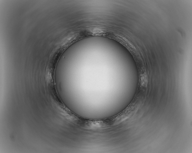 X0000111670618200907311159