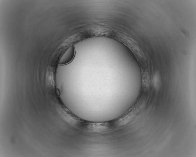 X0000111670622200907311159