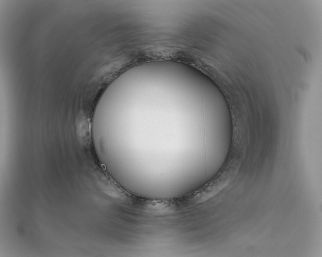 X0000111670624200907311159